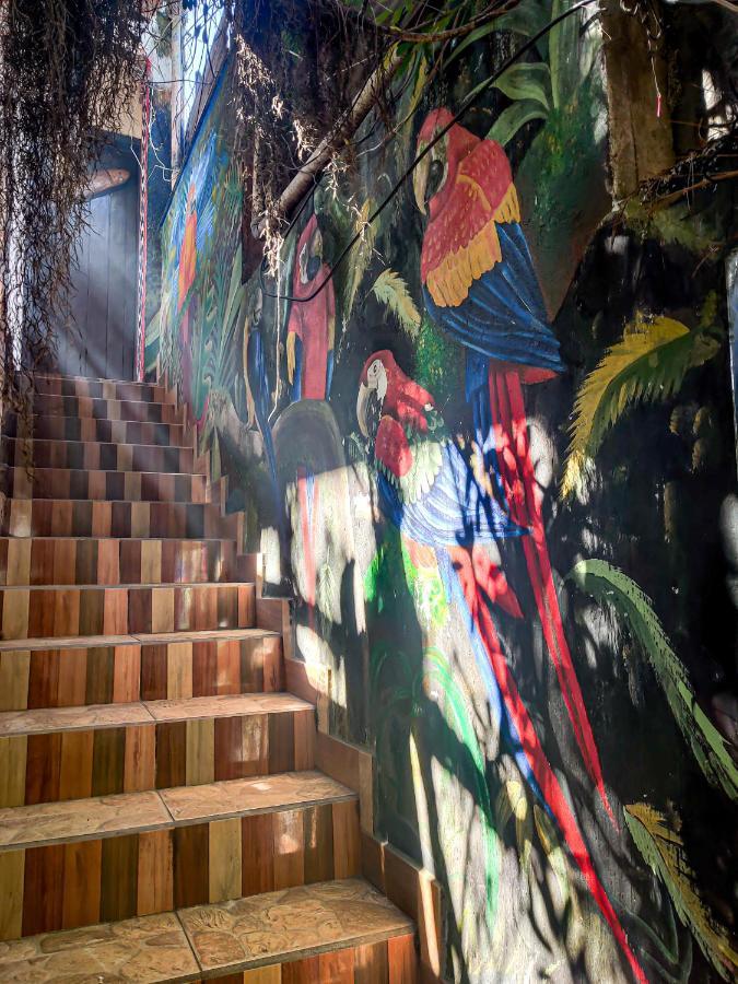 Hotel San Francisco San Pedro La Laguna Εξωτερικό φωτογραφία